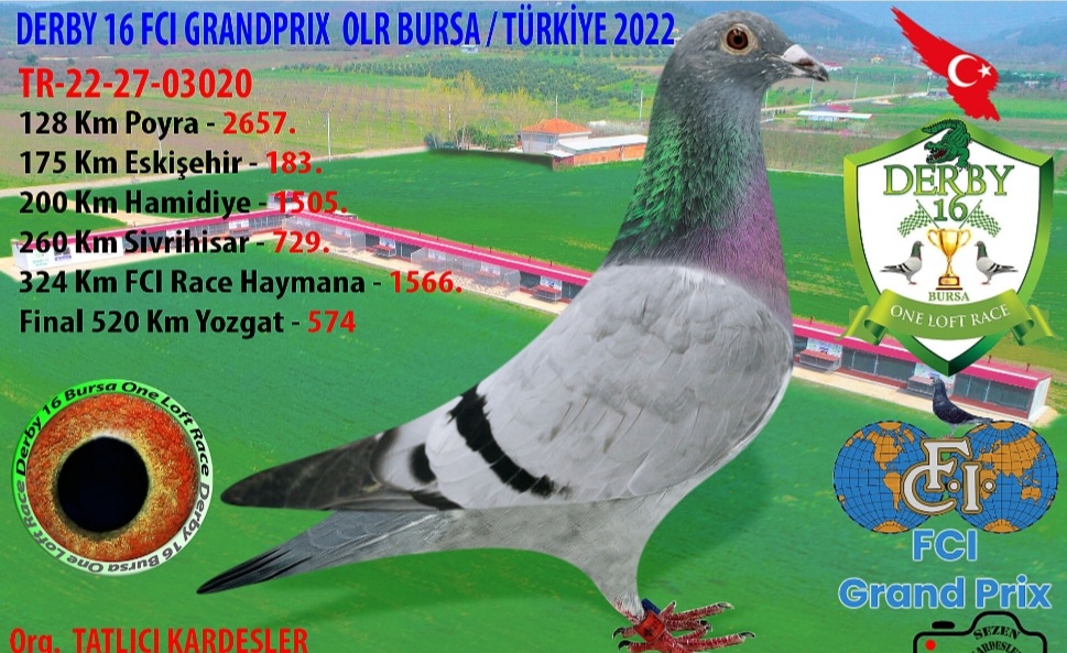 TR 22-27-03020  POLİS İMDAT 155 OGLU