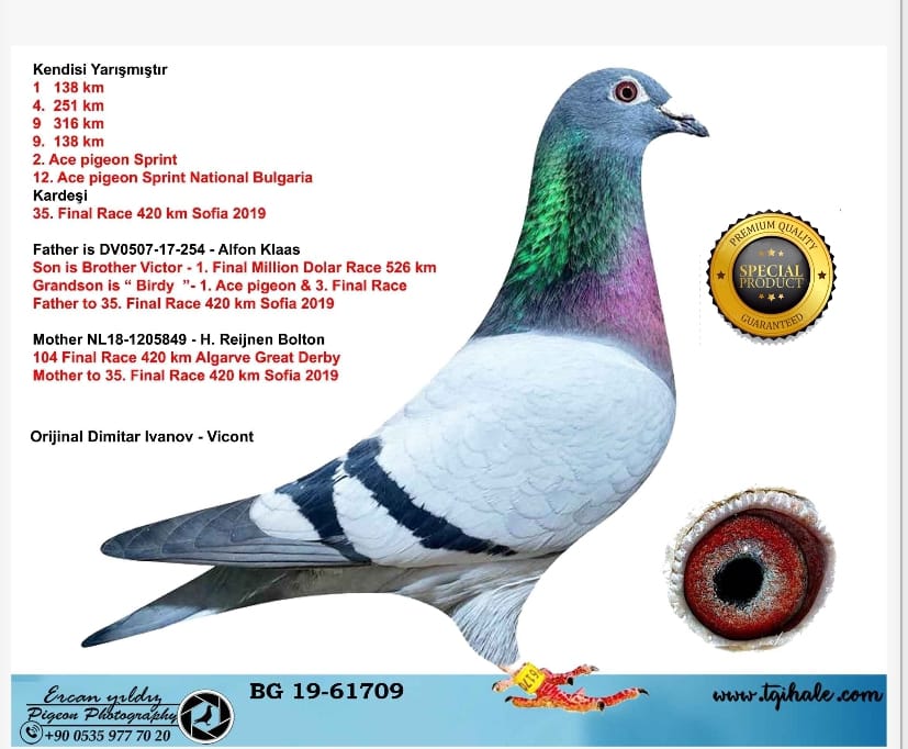 BG-19-61709_ A.KLAS.H.M.REIJNEN-BOLTON 3 KUPALI 3 TANEDE DERECESI MEVCUT