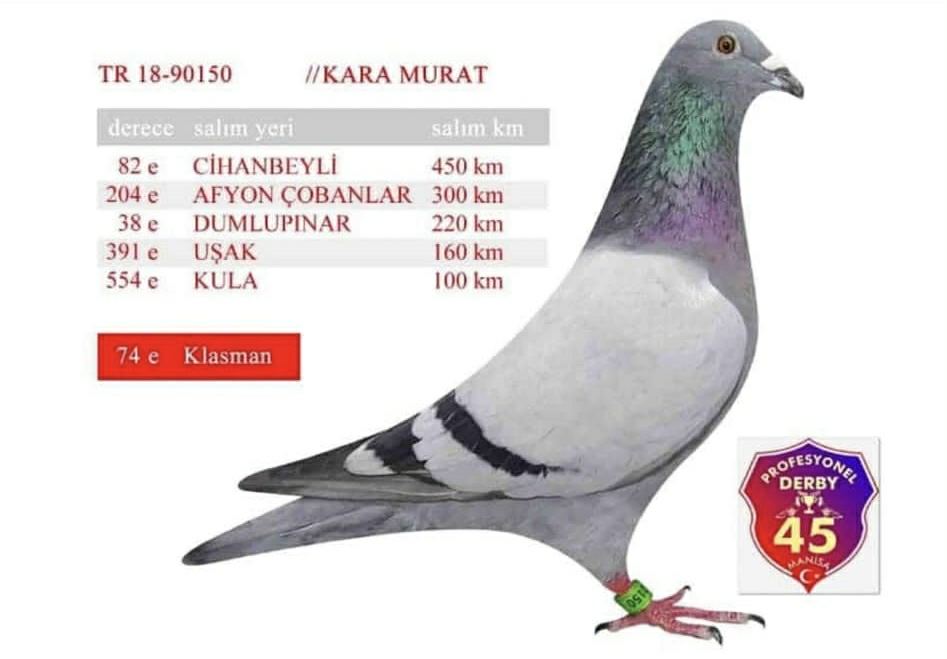 TR-18-90150 GABY BİLİKSEM & DE RAUW ŞABLON 450 KM FİNAL 82