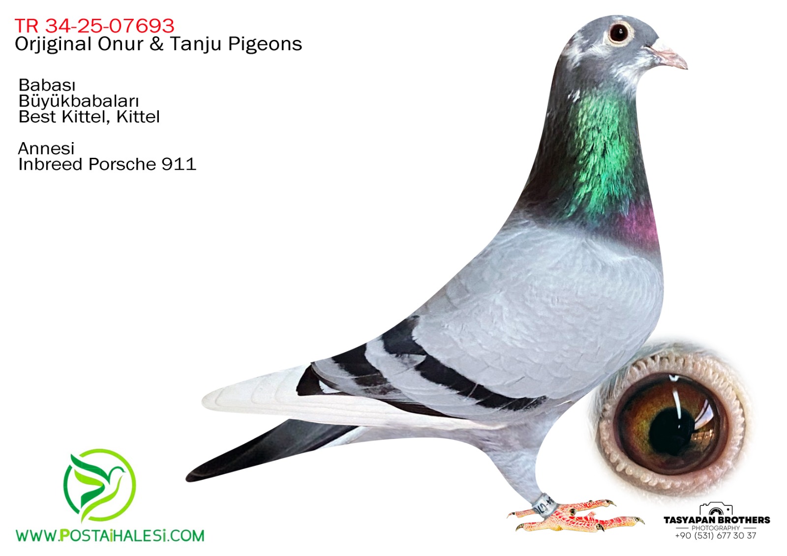 TR-34-25-07693 BEST KİTTEL-DE KİTTEL& DUBLE PORŞHE 911