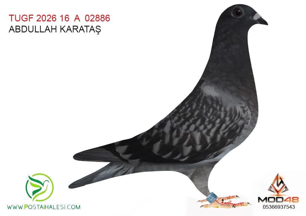 TUGF-26-16-02886-ABDULLAH KARATAŞ