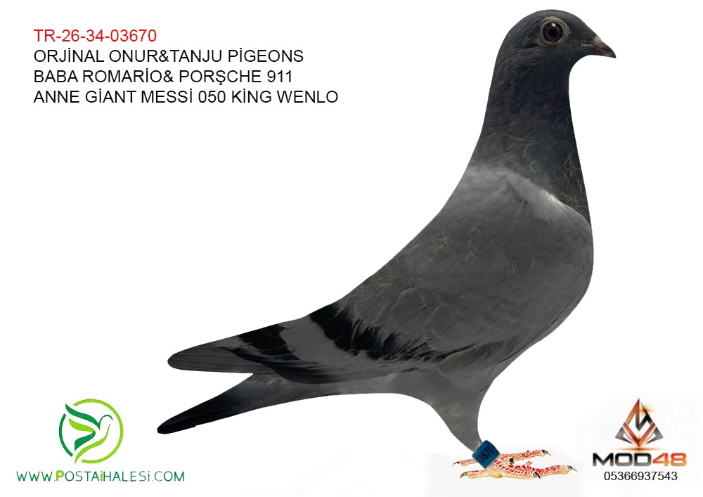 TR-26-34-03670 ROMARİO-PORŞCHE -GİANT-MESSİ-050-KİNG WENLO