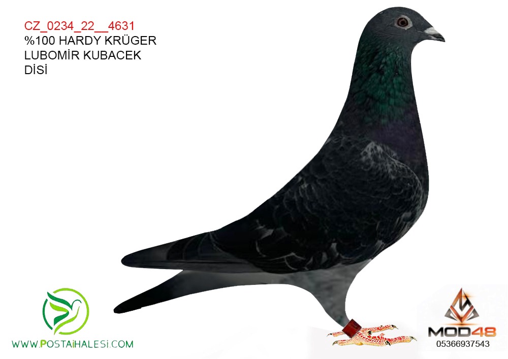 CZ_0234-22-4631% HARDY KRÜGER BABASİ ROMANYA OLİMPİYAT SAMPİYONU