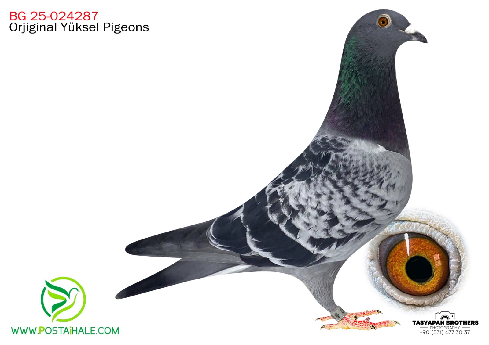 BG25-02487 koopman&gabby&leo heremans jansenn