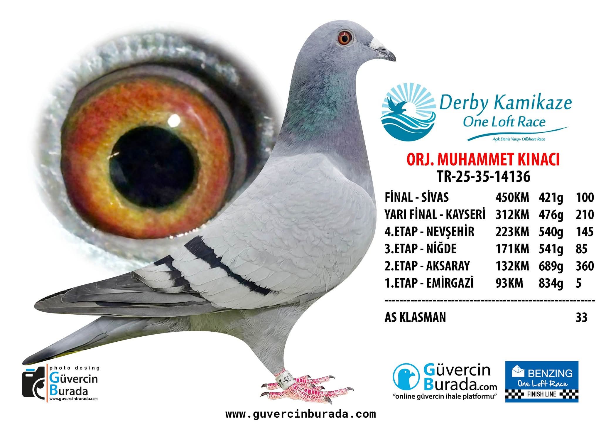 TR-25-35-14136 FİNAL 100 ACE 33
