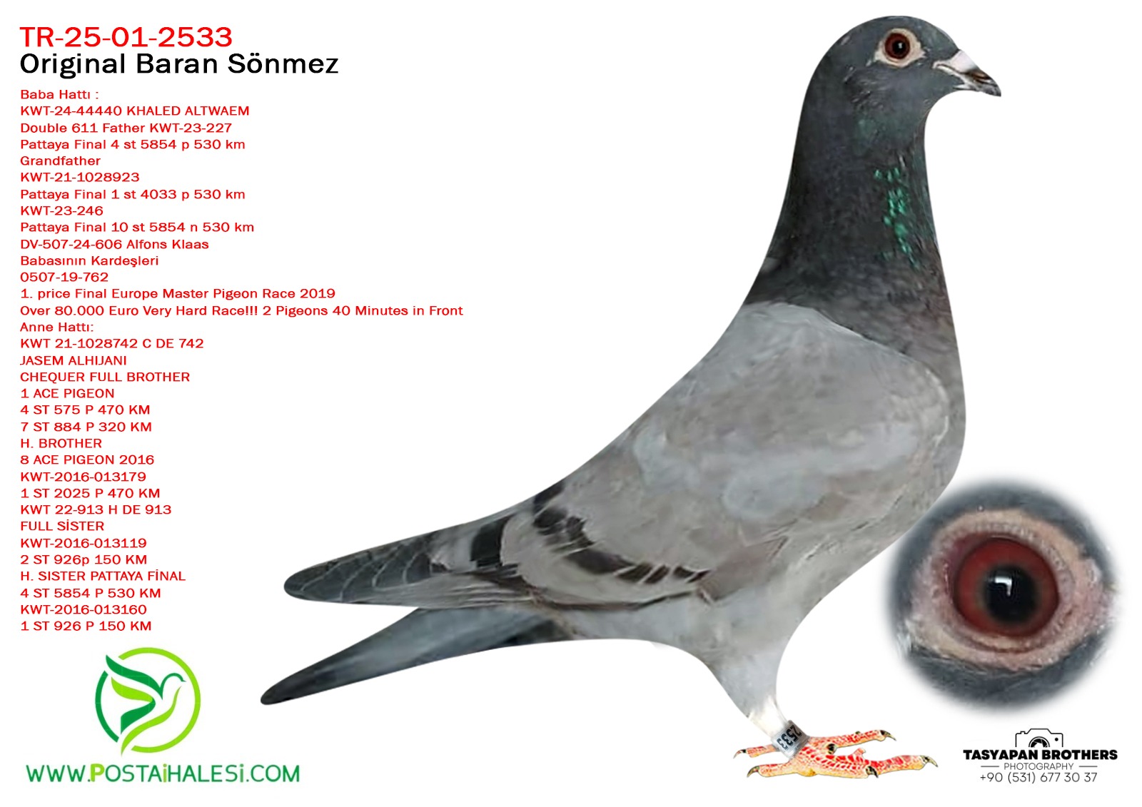 TR-25-01-2533 DUBLE 611