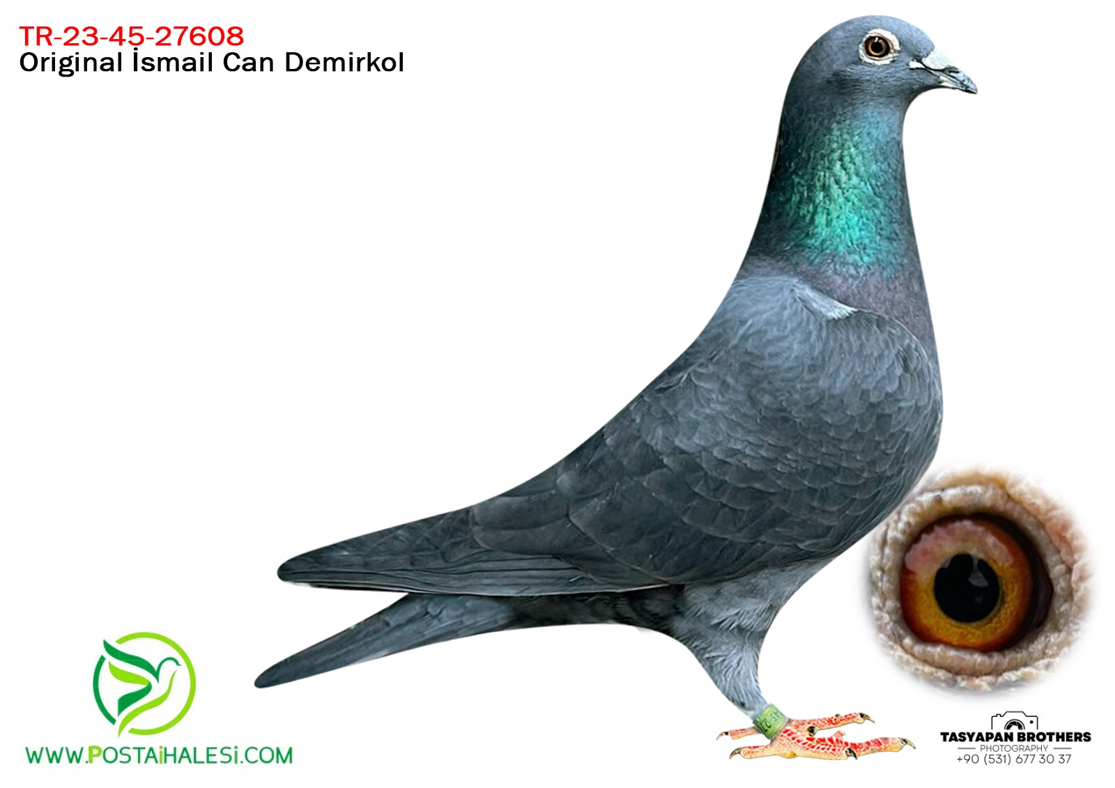 TR-23-45-27608 JAN V.D.PASCH&P.MERVE  TAM KARDEŞİ 3X3 ORTA MARATON 1