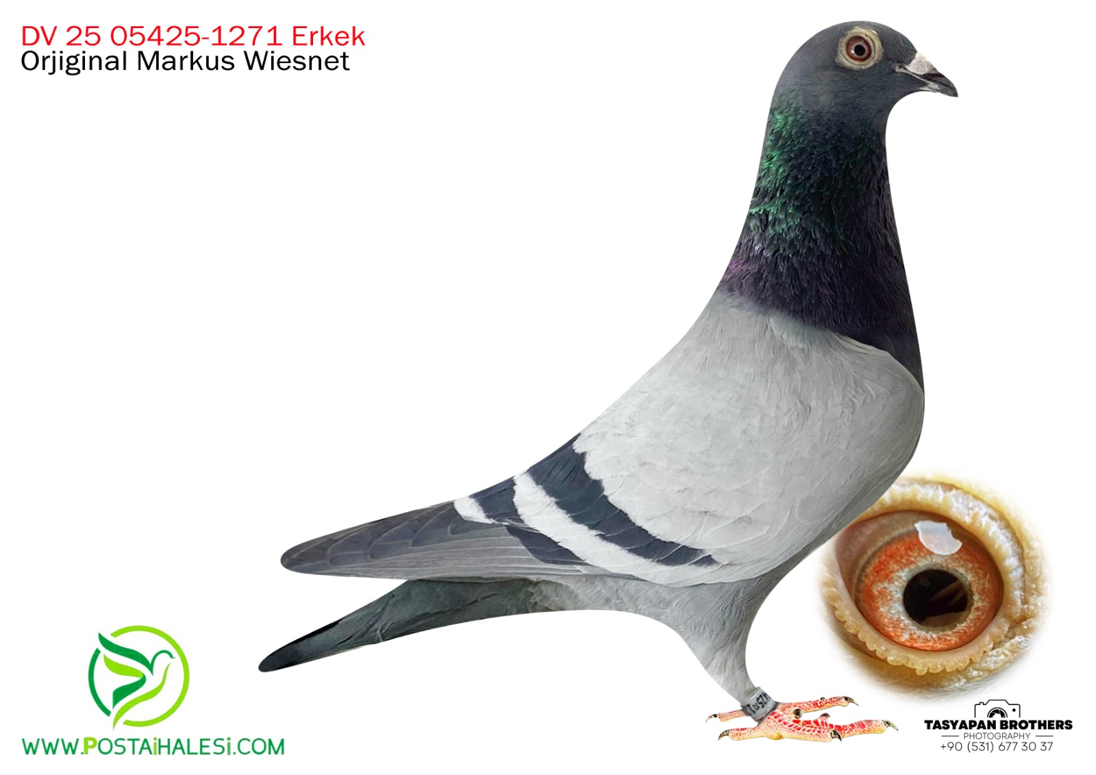 DV-25-05425-1271 ROMARİO&TOMAS 6