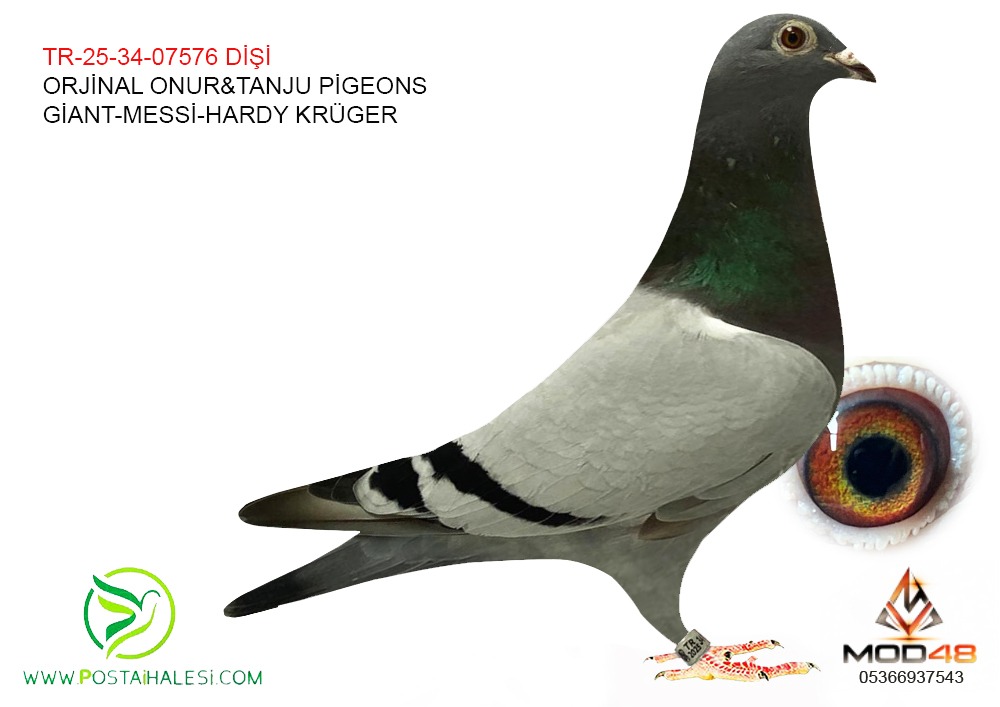 TR-25-34-07576 GİANT-MESSİ-HARDY KRÜGER