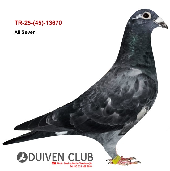 TR 25-45-13670 ALİ SEVEN