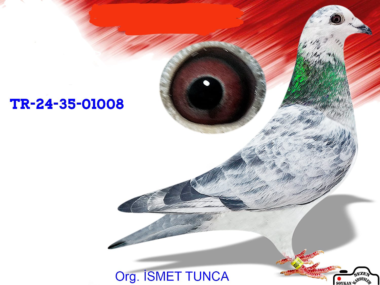 TR-24-35-01008 KAPLAN HALİL SEYHAN BEST KİTTEL KARDEŞİ 252 KM SAMPİYONU