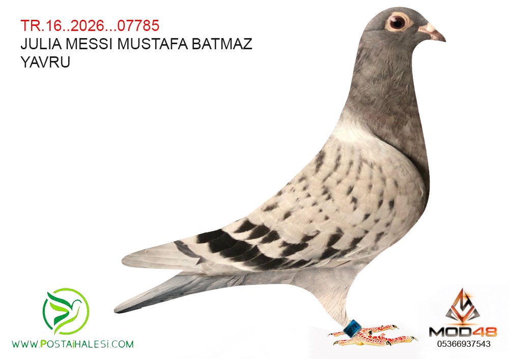TR 26-16-07785 JULİA-MESSİ