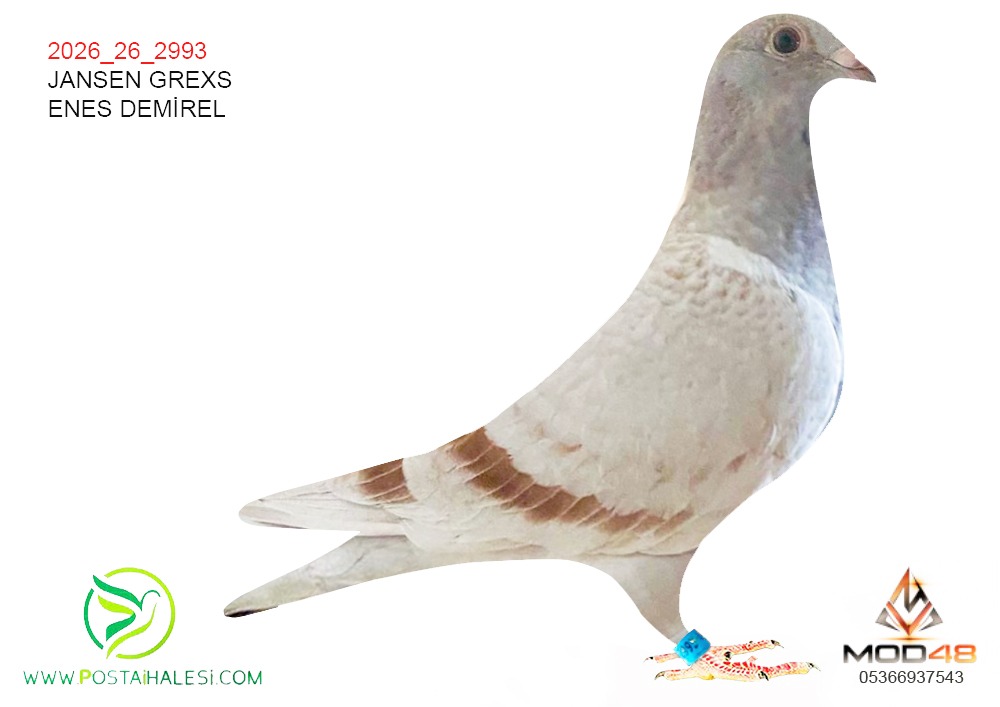 2026-26-2993 JANSEN GERİXS