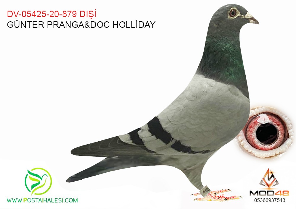 DV-05425-20-879 GÜNTER PRANGA&DOC HOLLİYDAY