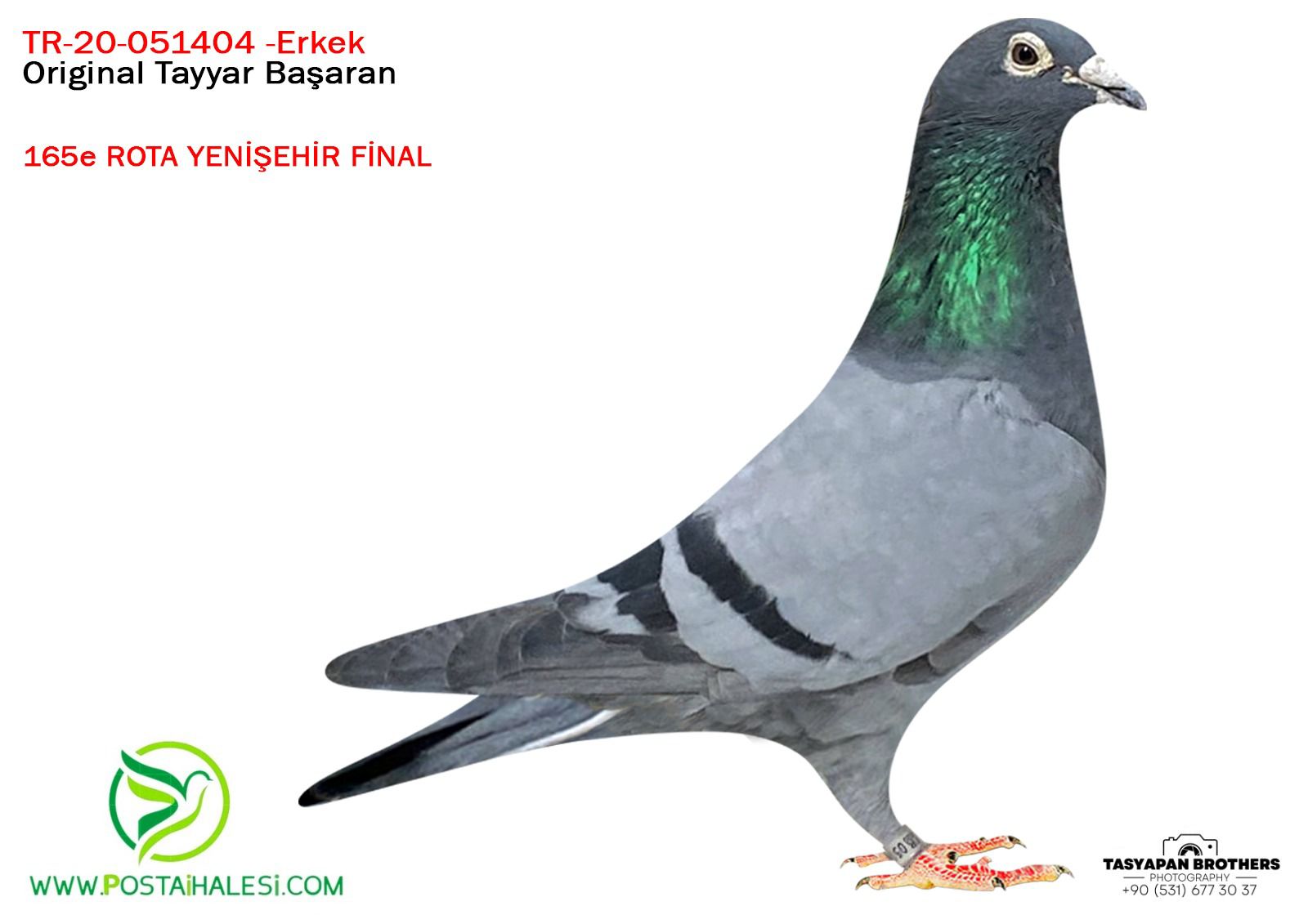 TR-20-051404 JANSEN&EMİLE DENYS