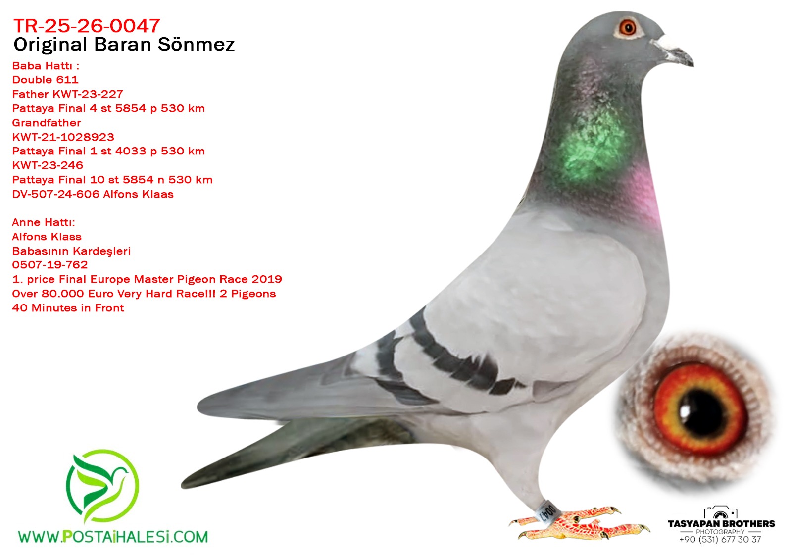 TR-25-26-0047  611&A.U.H KLAAS