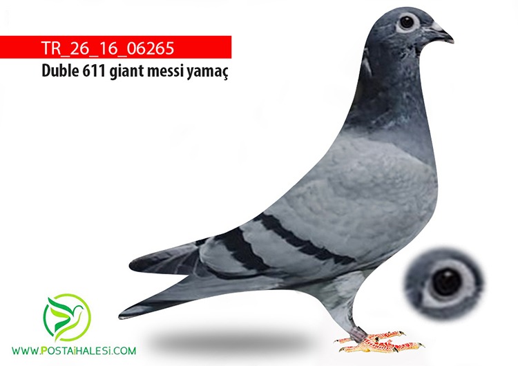 TR-26-16-06265 DUBLE 611 -GİANT MESSİ -YAMAÇ